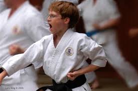 Image result for Bushin Kenpo Kai Schools