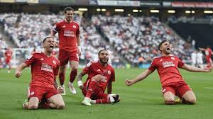 Image result for Crawley Town Football Club