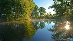 Image result for Fiverivers Leisure Centre