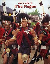 Kuvahaun tulos haulle nagas