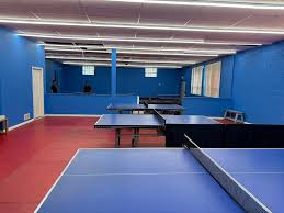 Image result for B N C A Table Tennis Club