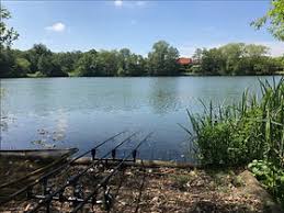 Image result for Woking & District Angling Association