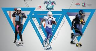 Image result for Birmingham University Lions