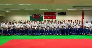 Image result for Swansea Taekwondo Club