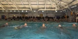 Image result for 1066 Swimmers