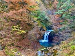 「西沢一樹」の画像検索結果