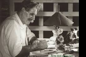 Image result for albert schweitzer