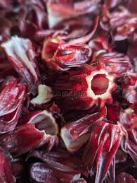 Attēlu rezultāti vaicājumam “Rumex acetosa fruit”