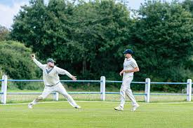 Image result for Alrewas Cricket Club