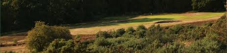 Image result for Reigate Heath Golf Club