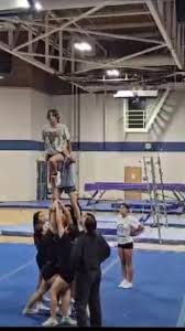 Image result for Thornton Sport Gymnastics
