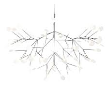 Attēlu rezultāti vaicājumam “Heracleum”