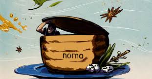 Image result for noma mad