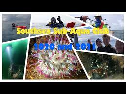 Image result for Brighton Octopush Club