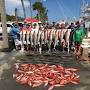 cache:Sk82fLcKzx4J:https://www.beachguide.com/PanamaCityBeach/Fishing/transition+transition charters panama city from www.fishgreatescape.com