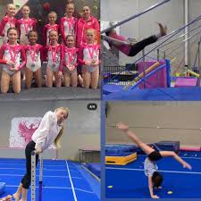Image result for Phoenix Gymnastics Club