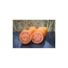 Afbeeldingsresultaat voor caro rich tomato