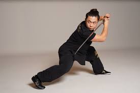 Image result for Dragon Wushu Club