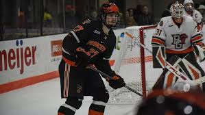 Image result for Pontypool Skater Hockey Club