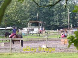 Image result for Shey Copse Riding Centre