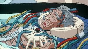 Image result for roujin z