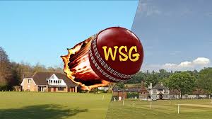 Image result for Wonersh Cricket Club