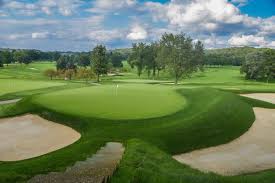 Image result for Fox Gc