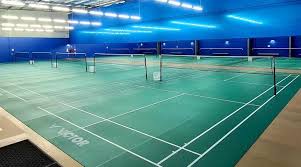 Image result for Addison Exiles Badminton Club