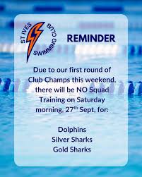 Image result for Swimming Skills Cornwall | St Ives