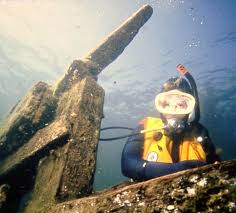 Image result for Seabug Divers
