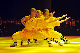 Image result for kung fu