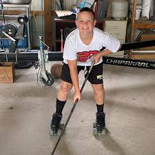 Image result for Vipers Roller Hockey Team