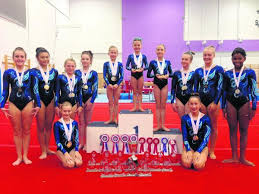 Image result for South Essex Gymnastics Club