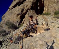 Image result for Fleet Ibex Field Archery Club