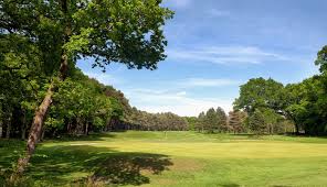 Image result for Brokenhurst Manor Golf Club