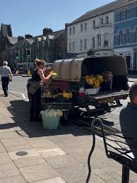 Image result for Machynlleth Bowling Club