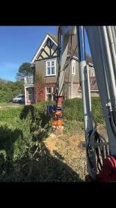 Image result for dipperfox tehron