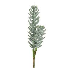 Image result for Mehikasvi