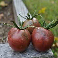 Afbeeldingsresultaat voor black cherry tomato