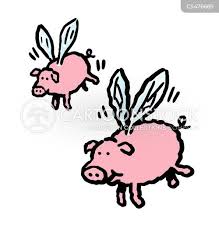 Image result for flying pigs