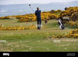 Image result for Fortrose & Rosemarkie Golf Club