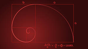 Image result for numero aureo