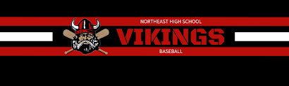 Image result for North East Vikings