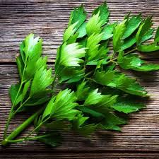 Image result for Liebstöckel