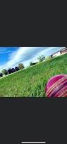 Image result for Croesyceiliog Cricket Club