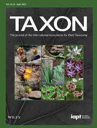 Attēlu rezultāti vaicājumam “Distichium capillaceum sporophyte”