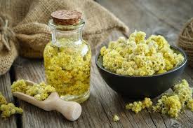 Attēlu rezultāti vaicājumam “Helichrysum arenarium flower”