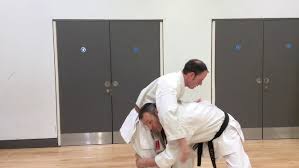 Image result for Norfolk Karate