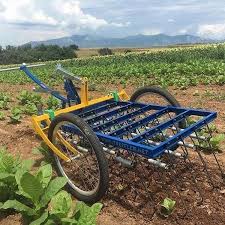 Image result for Harrow Tc