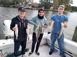 Image result for Lamb Angling Club